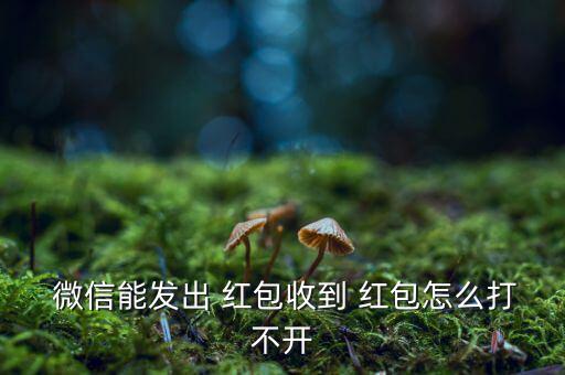  微信能發(fā)出 紅包收到 紅包怎么打不開