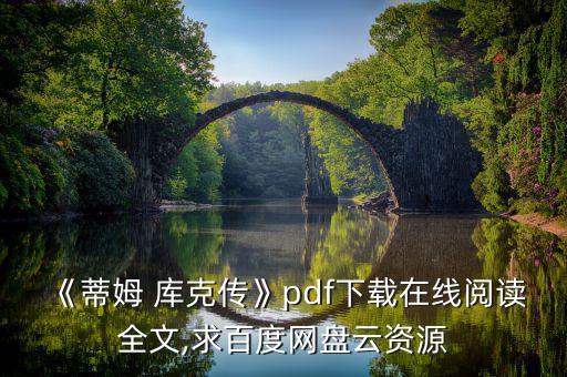 《蒂姆 庫克傳》pdf下載在線閱讀全文,求百度網盤云資源