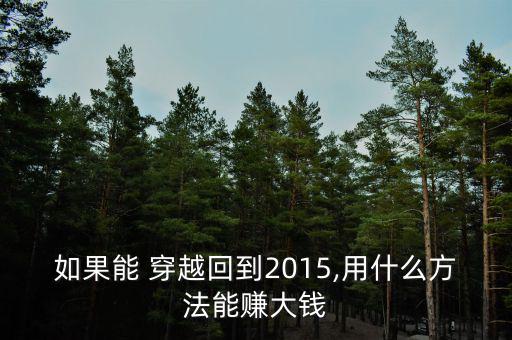 如果能 穿越回到2015,用什么方法能賺大錢