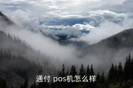 通付 pos機怎么樣