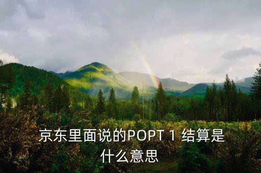  京東里面說的POPT 1 結算是什么意思