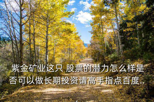  紫金礦業(yè)這只 股票的潛力怎么樣是否可以做長(zhǎng)期投資請(qǐng)高手指點(diǎn)百度...