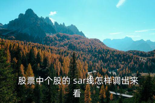  股票中個(gè)股的 sar線怎樣調(diào)出來看