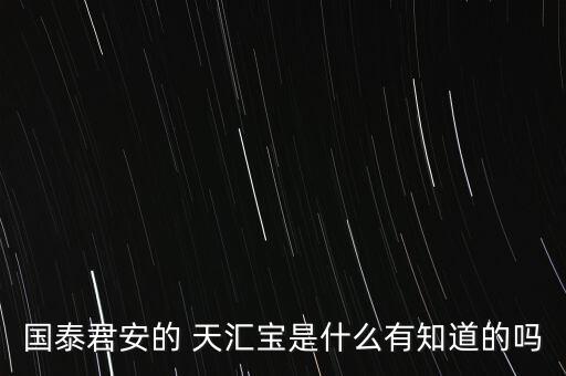 國泰君安的 天匯寶是什么有知道的嗎