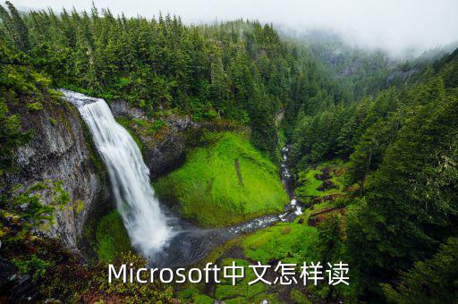 Microsoft中文怎樣讀