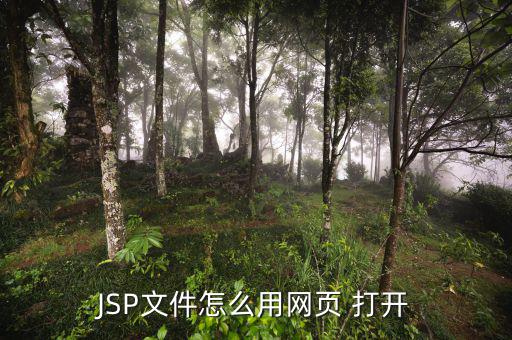 jspa怎么打開,中國(guó)新增11起病例全由境外輸入