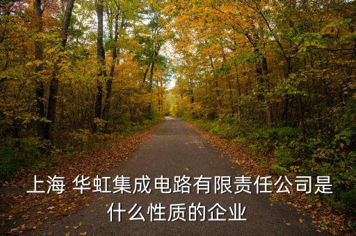  上海 華虹集成電路有限責任公司是什么性質(zhì)的企業(yè)