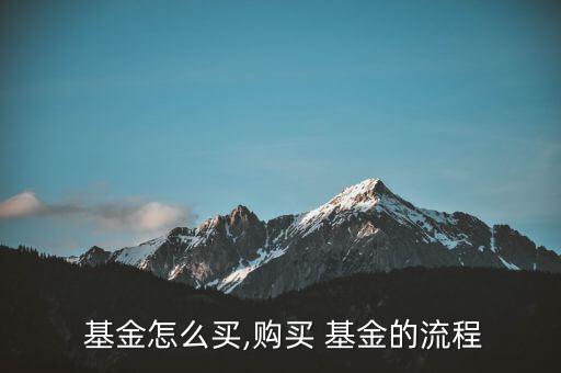  基金怎么買(mǎi),購(gòu)買(mǎi) 基金的流程