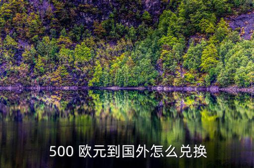  500 歐元到國外怎么兌換