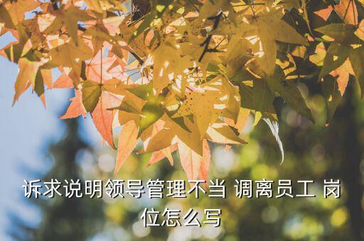 訴求說明領(lǐng)導(dǎo)管理不當(dāng) 調(diào)離員工 崗位怎么寫