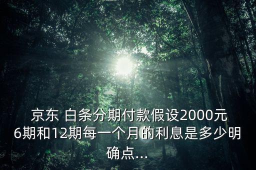  京東 白條分期付款假設(shè)2000元6期和12期每一個月的利息是多少明確點...