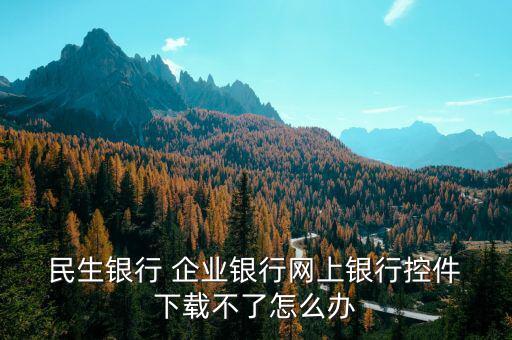  民生銀行 企業(yè)銀行網(wǎng)上銀行控件 下載不了怎么辦