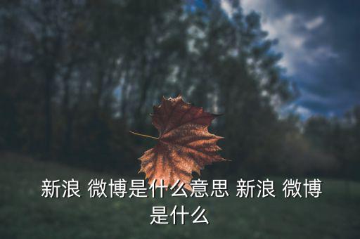 怎么在新浪微博顯示股票,新浪微博起源于納斯達(dá)克股票代碼wb