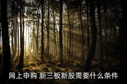 新三板怎么炒,新三板新股網(wǎng)上申購需滿足哪些條件?