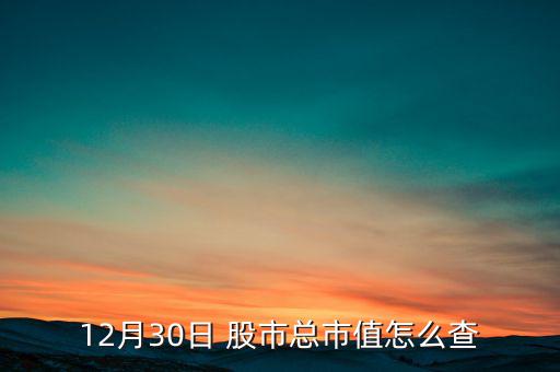 12月30日 股市總市值怎么查