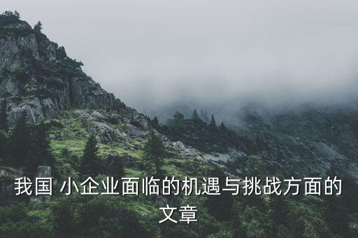 小企業(yè)怎么怎么走出困境,中小企業(yè)要正視金融危機立足長遠發(fā)展