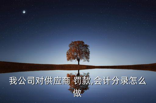 我公司對供應商 罰款,會計分錄怎么做