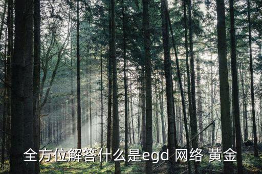 全方位解答什么是egd 網(wǎng)絡(luò) 黃金