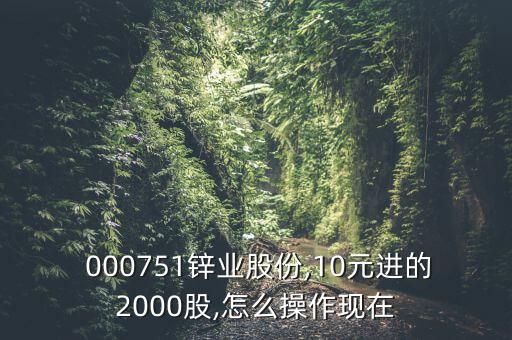  000751鋅業(yè)股份,10元進的2000股,怎么操作現(xiàn)在