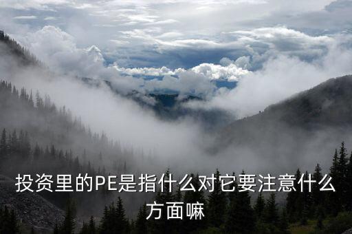 投資里的PE是指什么對(duì)它要注意什么方面嘛