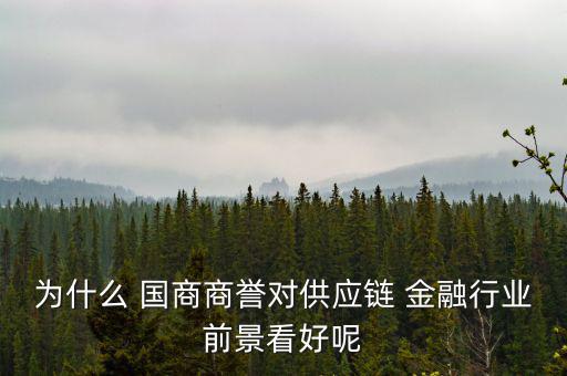 國(guó)商金融怎么樣,國(guó)商信聯(lián)金融匯利息10%?