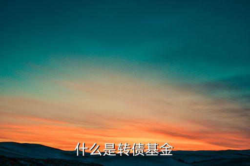 天治可轉(zhuǎn)債c怎么樣,可轉(zhuǎn)債利率和期限自由選擇