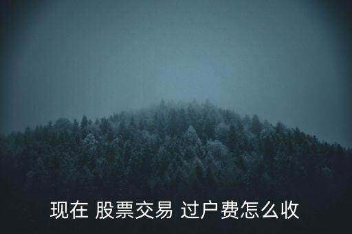 現(xiàn)在 股票交易 過戶費(fèi)怎么收