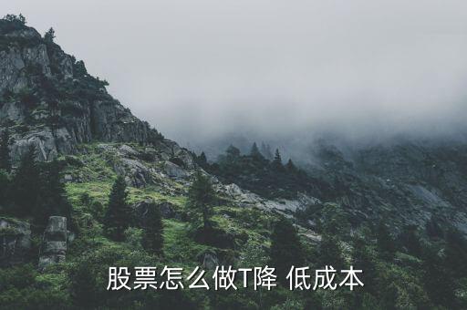  股票怎么做T降 低成本