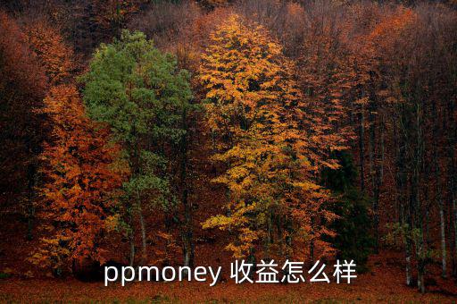  ppmoney 收益怎么樣