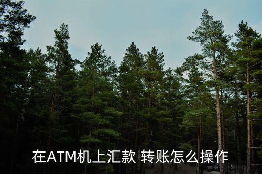 在ATM機上匯款 轉(zhuǎn)賬怎么操作