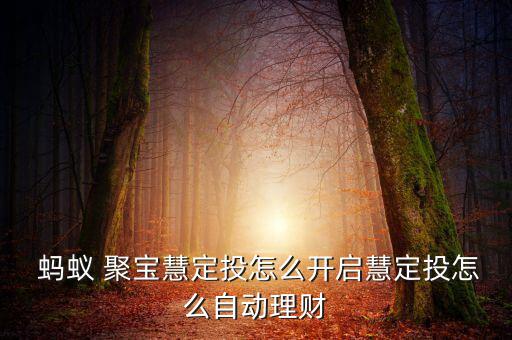 螞蟻聚寶怎么定投,光定投怎么拿?股票查詢