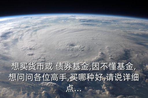 想買貨幣或 債券基金,因不懂基金,想問問各位高手,買哪種好,請說詳細點...