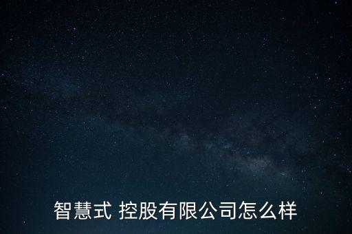 智慧式 控股有限公司怎么樣