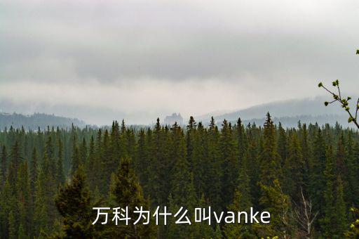  萬科為什么叫vanke