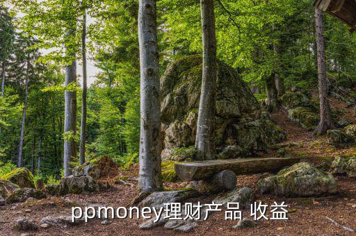 ppmoney收益怎么計(jì)算,新加坡股市全面上揚(yáng)