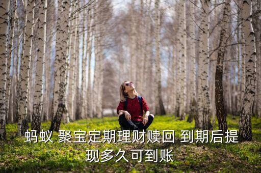 螞蟻聚寶到期怎么轉(zhuǎn)出,四大理財新常態(tài)