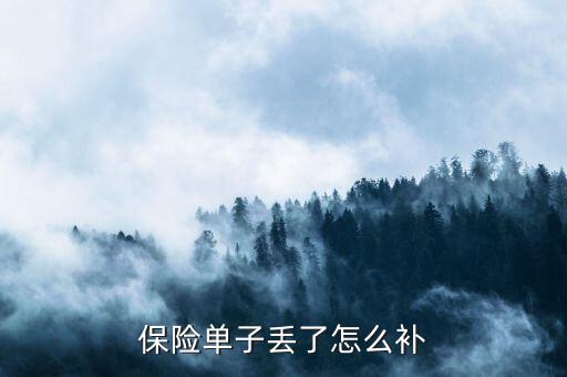 保險(xiǎn)保單丟了怎么辦,保單遺失補(bǔ)辦保險(xiǎn)公司如何提供給你!