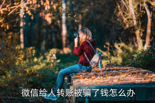  微信給人轉(zhuǎn)賬被騙了錢怎么辦