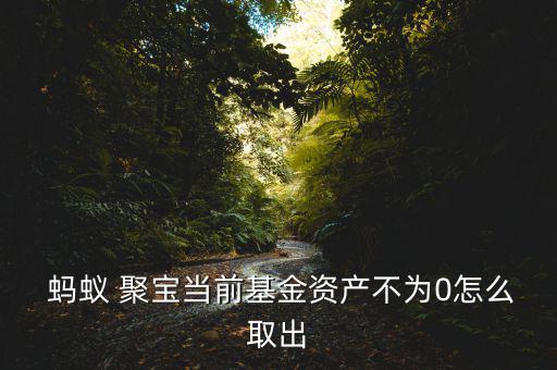  螞蟻 聚寶當(dāng)前基金資產(chǎn)不為0怎么取出