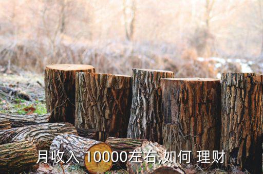 月收入 10000左右,如何 理財(cái)