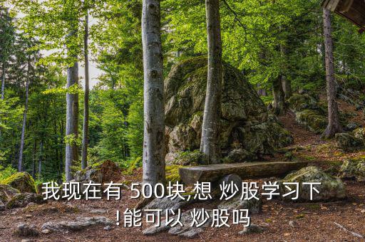 我現(xiàn)在有 500塊,想 炒股學(xué)習(xí)下!能可以 炒股嗎