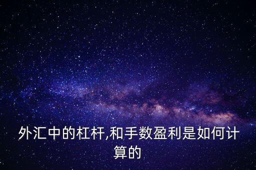  外匯中的杠桿,和手?jǐn)?shù)盈利是如何計(jì)算的