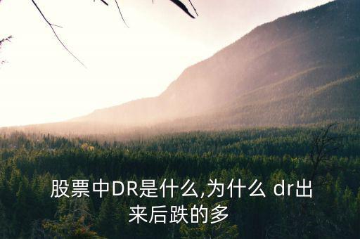  股票中DR是什么,為什么 dr出來后跌的多