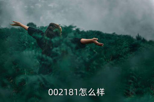 002181怎么樣