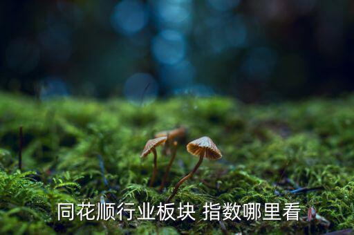 同花順怎么看股指期貨指數(shù),如何使用同花順等炒股軟件?