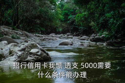 招行信用卡我想 透支 5000需要什么條件能辦理