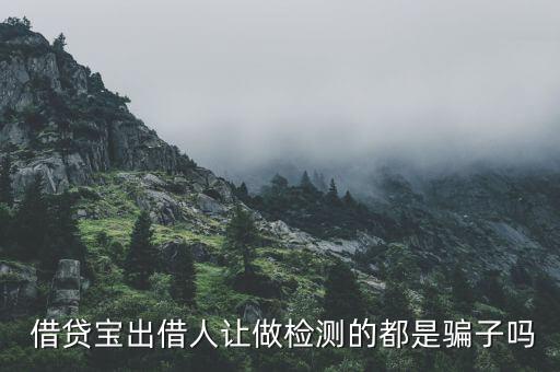 借貸寶怎么騙人的,九鼎旗下財務(wù)軟件借貸bao不是騙人