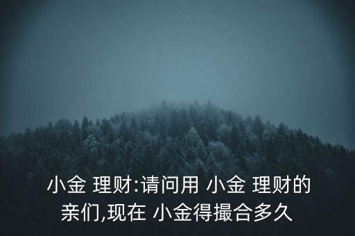  小金 理財:請問用 小金 理財?shù)挠H們,現(xiàn)在 小金得撮合多久