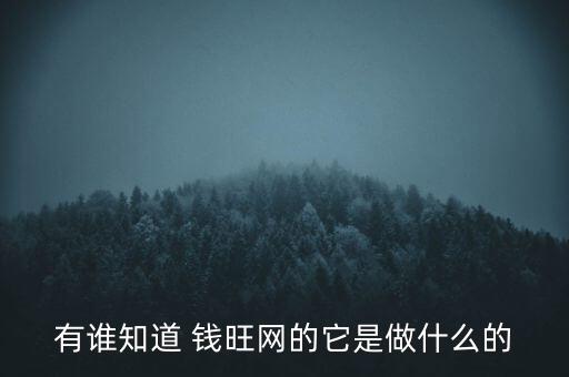 有誰知道 錢旺網(wǎng)的它是做什么的