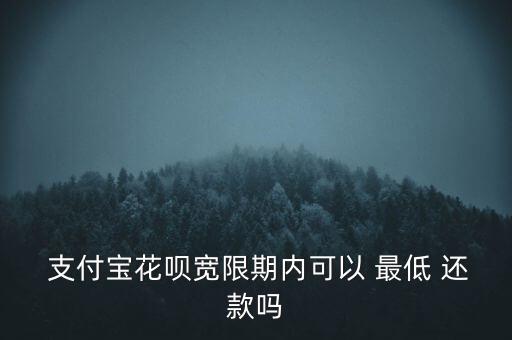 支付寶怎么最低還款,支付寶中的花芽可選最低最低還款金額